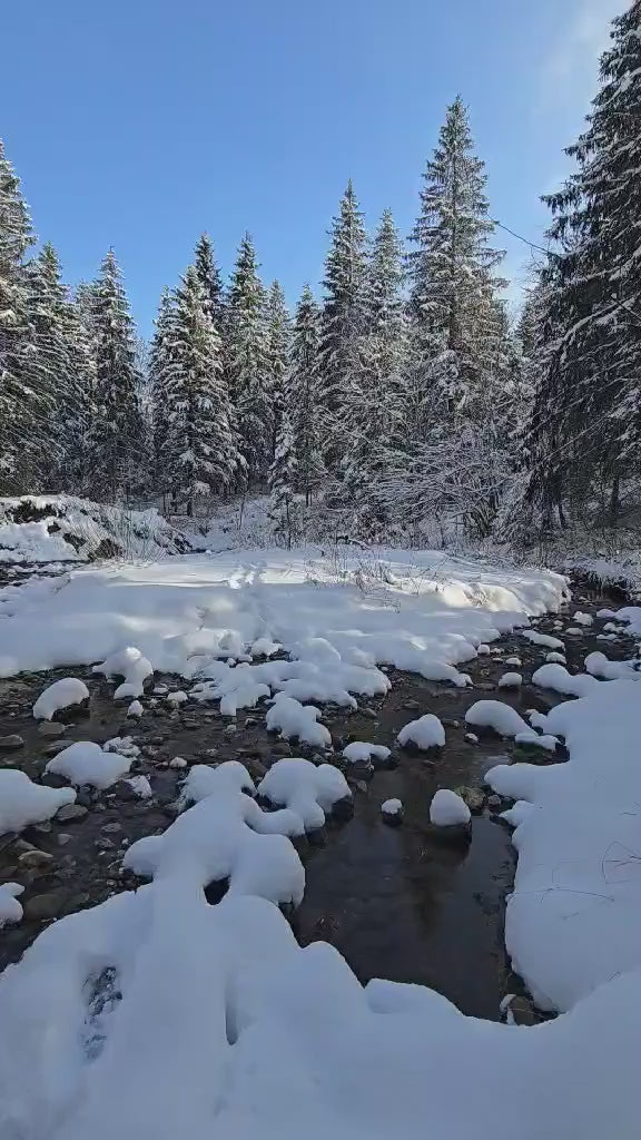 2026 Edition | Black-Brown-Green | Bushcraft Handmade Waxed Canvas Backpack | 50 L | Daily Use | Bushcraft, Travel, Camping, Hunting, Fishing, Sports bag 99percenthandmade